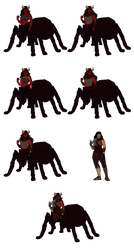 Aranea evolution by BubbleJuices