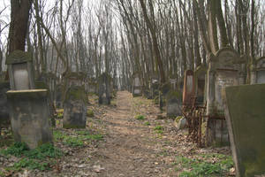 Cemetary - 3 by mjranum-stock Cemetary - 3 by mjranum-stock