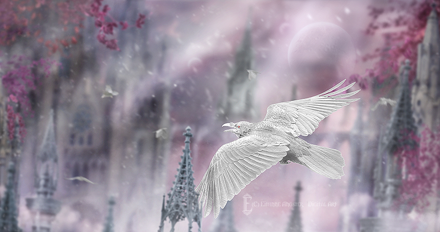 plant stock 19 by EveBlackwoodStock on DeviantArt