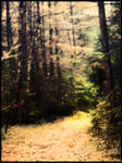 Seclusion by RokkeR
