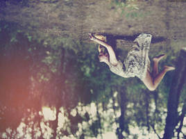 Where soul takes to. by JoanaSorino