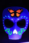 Day of the dead butterfly by SilverCicada
