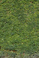 Floor Texture - 10 by AGF81 on DeviantArt