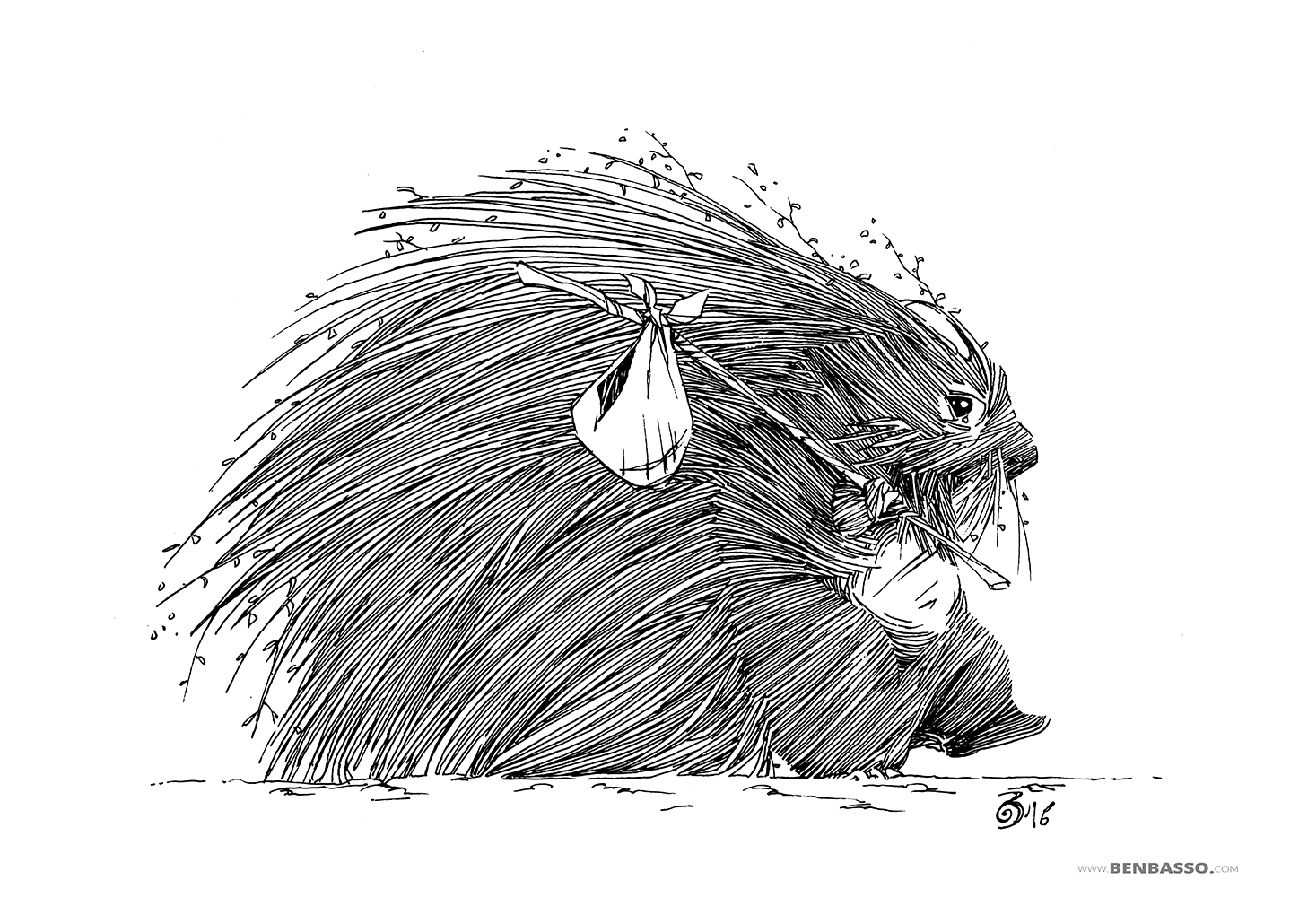 Porcupine by BenBASSO