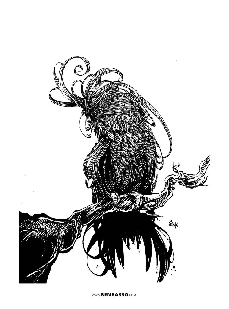 Cockatoo by BenBASSO