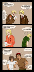 APH - the Sex Poll by Daciah