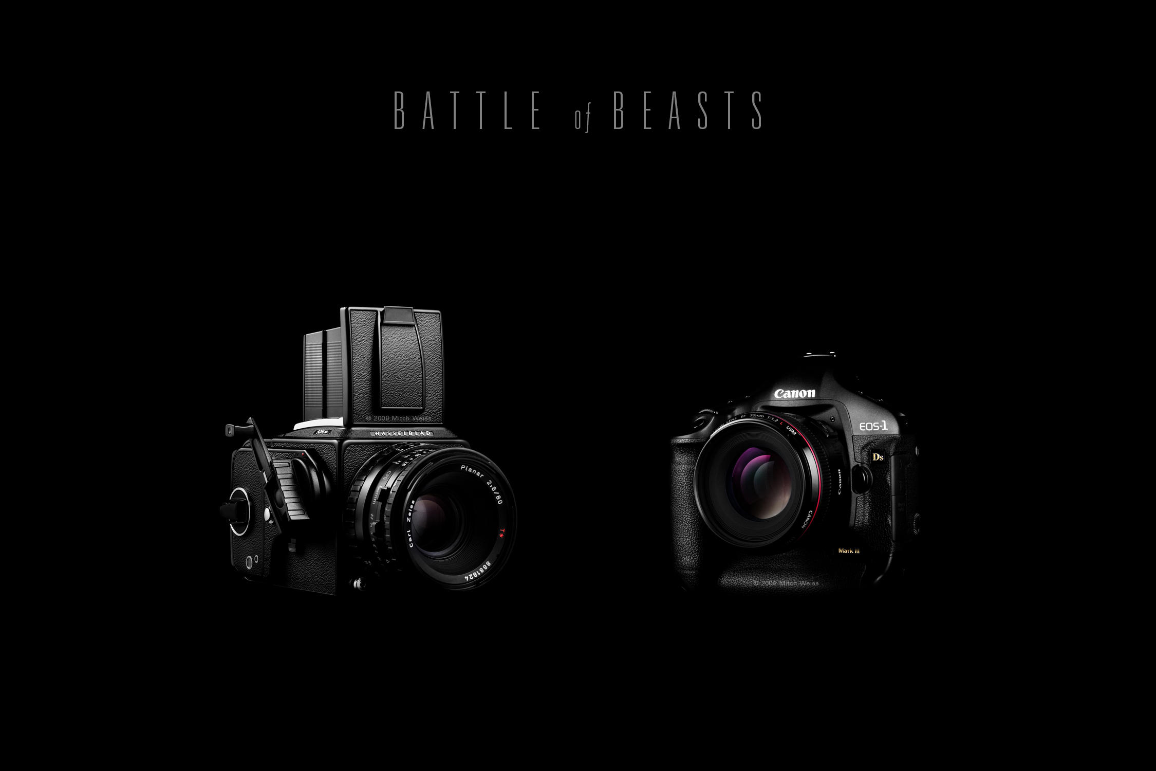 BATTLE of BEASTS by Omega300m