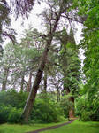 Scotland 017 by Chichiro