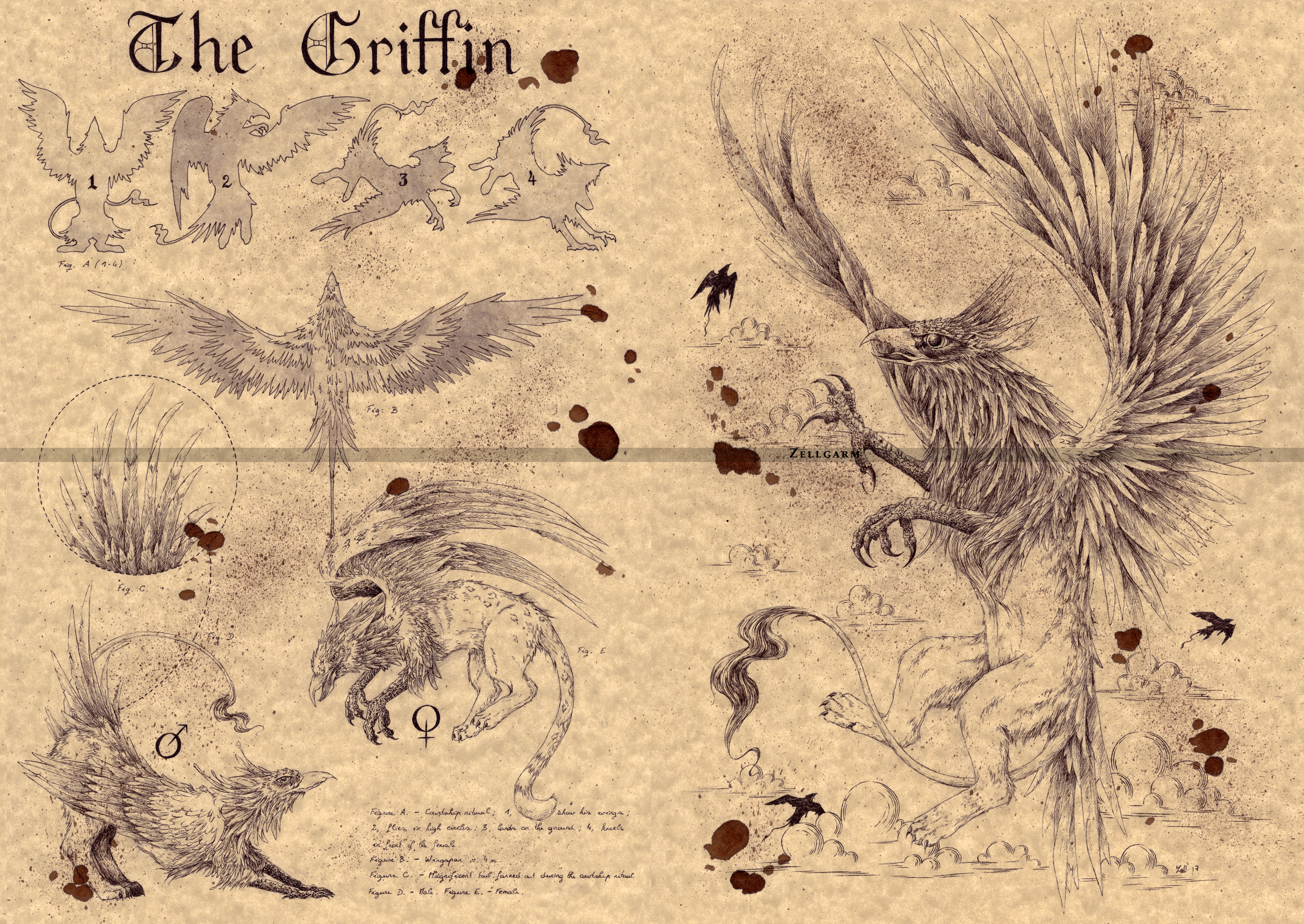 THE GRIFFIN by Zellgarm