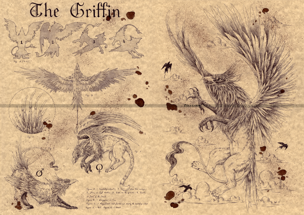 THE GRIFFIN by Zellgarm