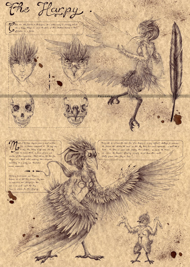 THE HARPY by Zellgarm