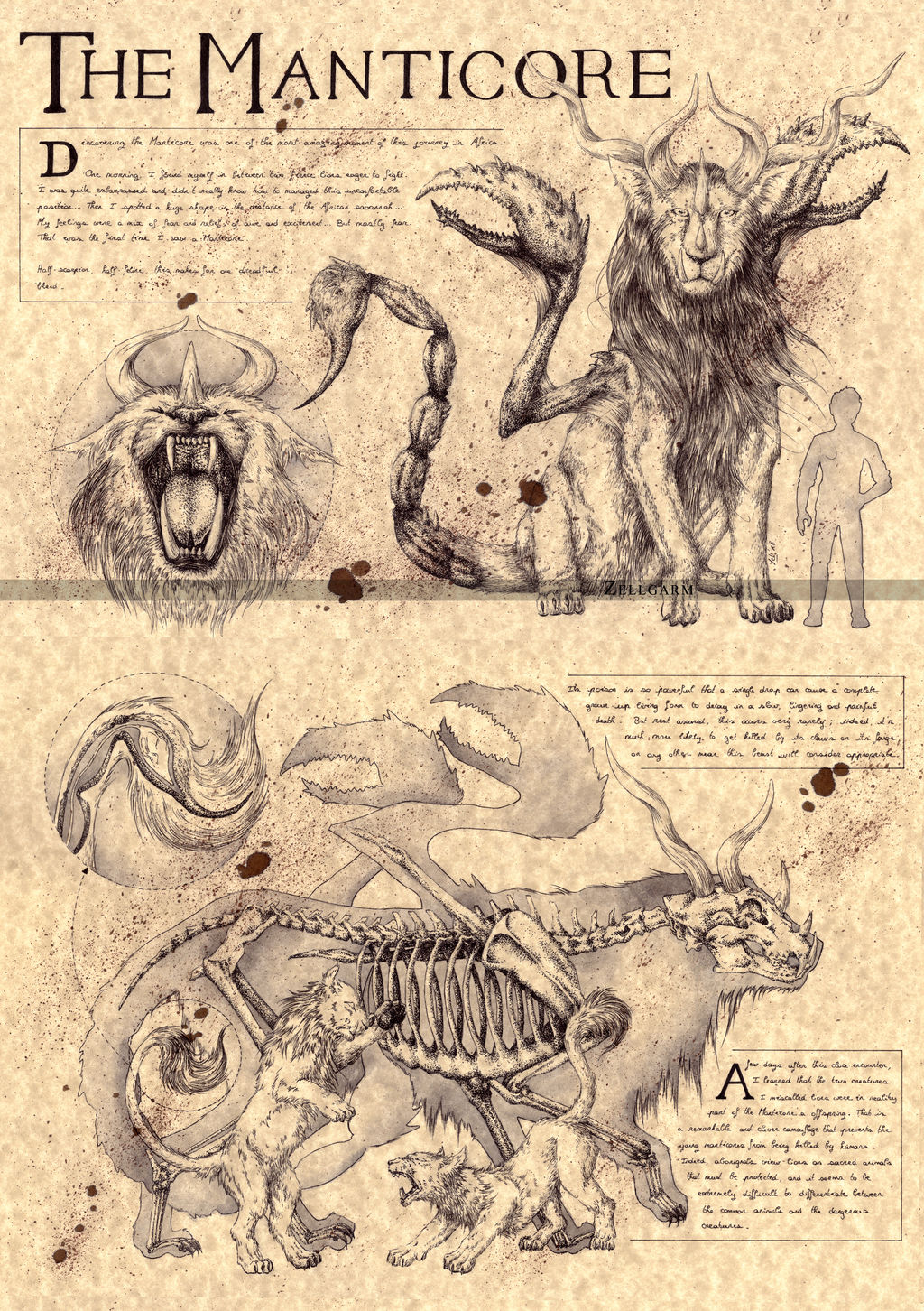 THE MANTICORE - PERSIAN MYTHOLOGY by Zellgarm