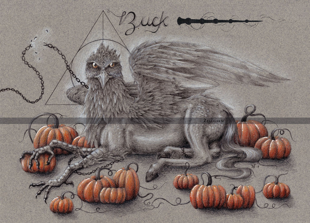 BUCK - HARRY POTTER by Zellgarm
