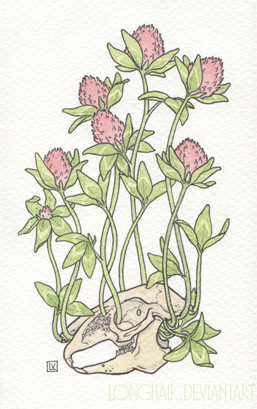 red clover all over by Longhair