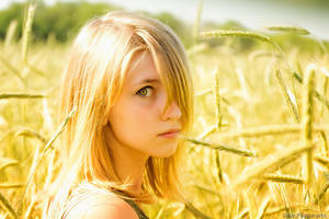 Rye Field I by Sulde