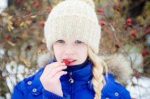 Winter Rosehip IV by Sulde