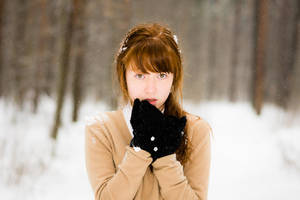 No Spring This Year by Sulde