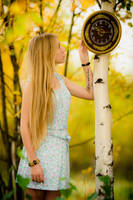 Autumn Time III by Sulde