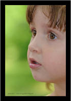 my curiousity by liviugherman