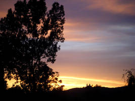 loffloff by roksannar