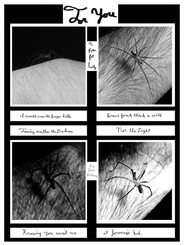 Sugarcubes: A Poem for Emily by slephoto