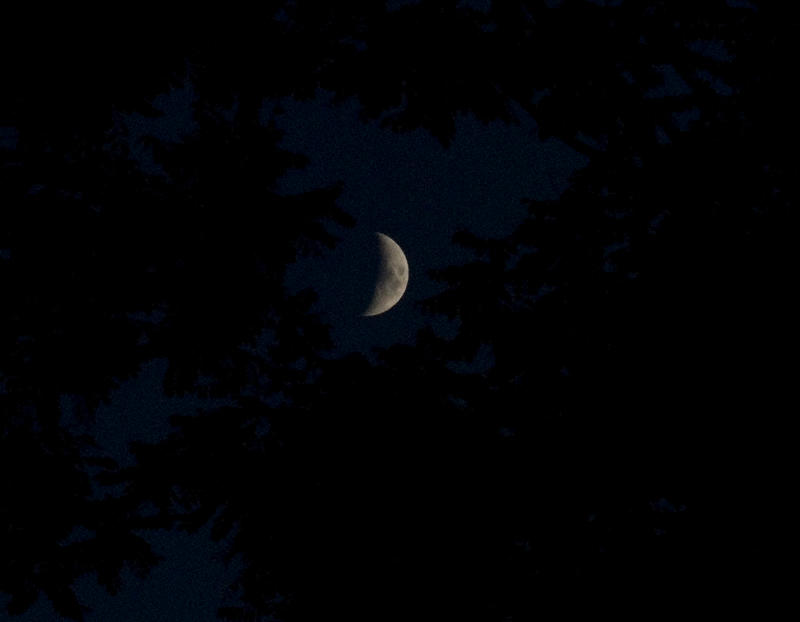Moon Over Clearfield by slephoto