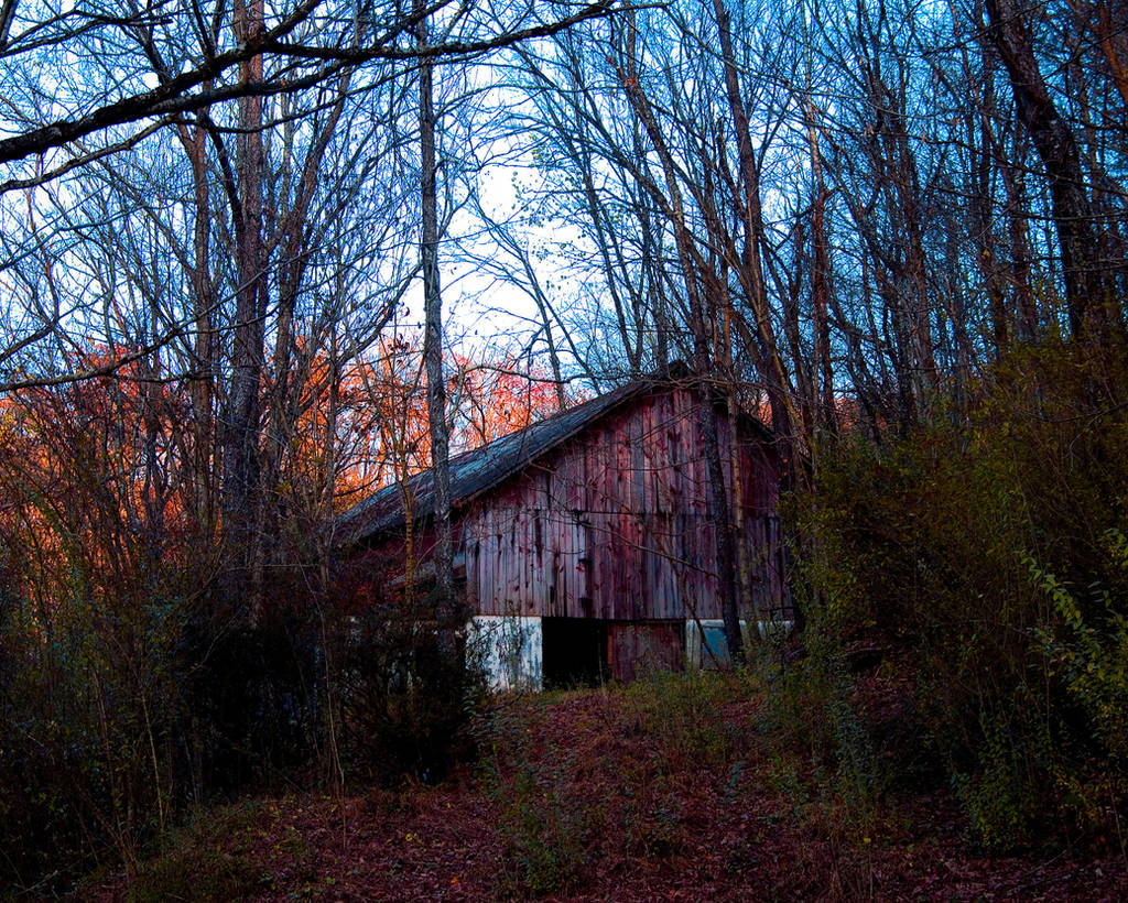 Abandoned Barn W. Va. by slephoto