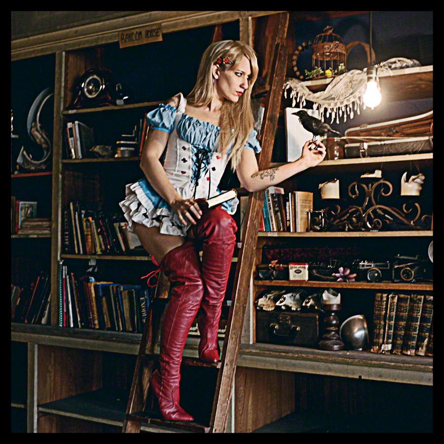 Raven Or Writing Desk by slephoto
