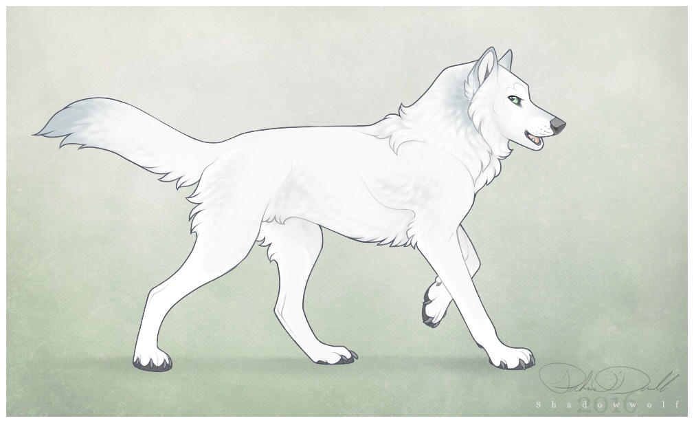 Winterpaw by Shadowwolf