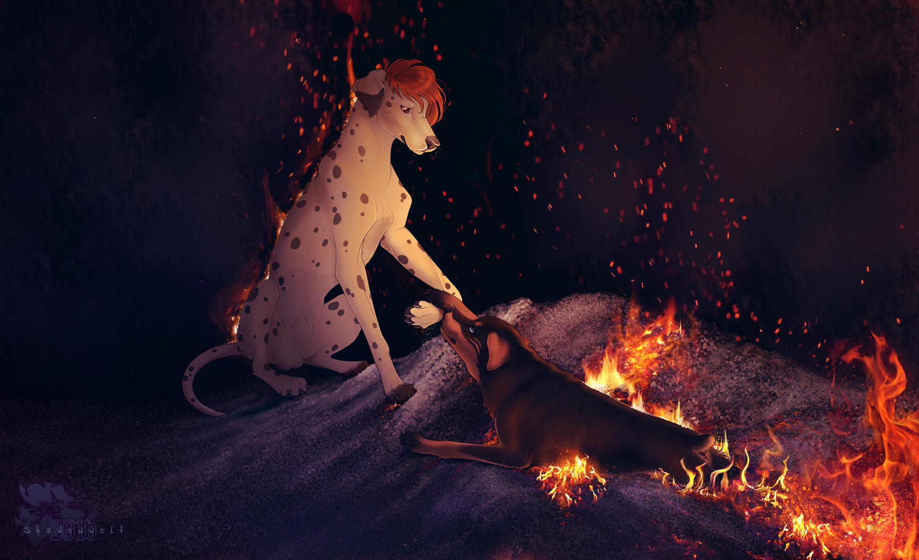 Like The Phoenix by Shadowwolf