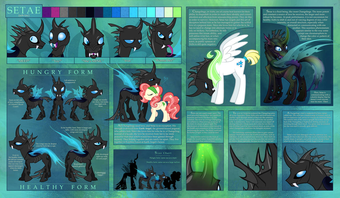Setae Ref Sheet by Shadowwolf