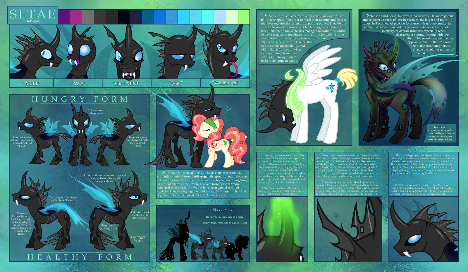 Setae Ref Sheet by Shadowwolf