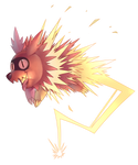 Zigzagoon's Thunderbolt by Sony-Shock
