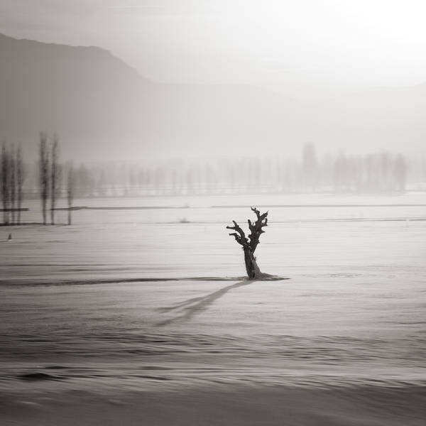 Stand up to winter by etchepare