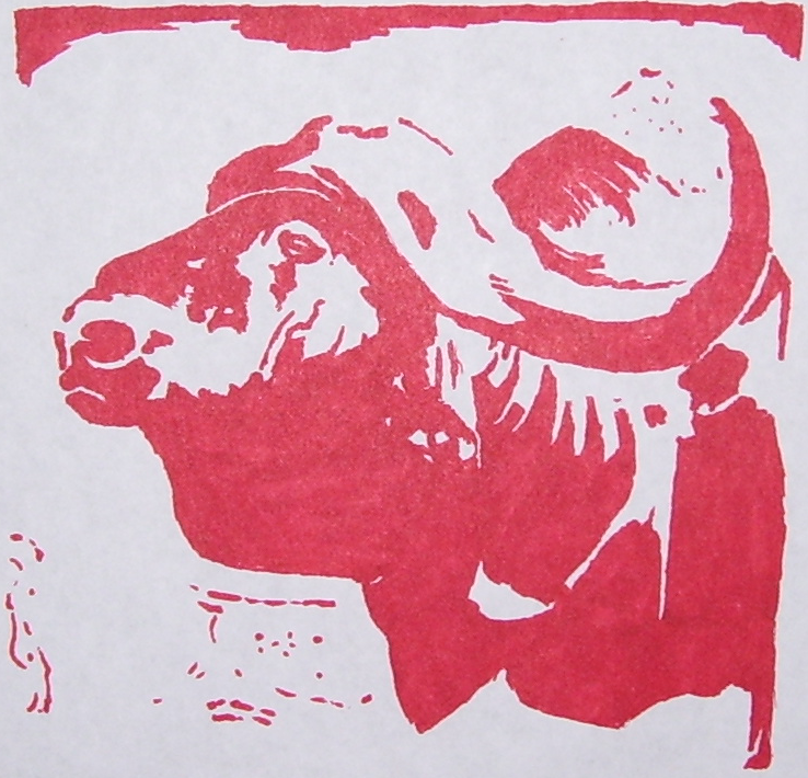 Yak in Sharpie by hkkkkals