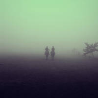 into the fog by MehreenFreed