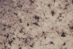 Texture 7 by postapocalypse-stock