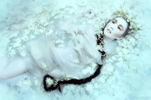 Vale of Tears by BlackMageAlodia