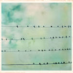 6 x 6 Vintage Birds on a wire by Moon-Willow
