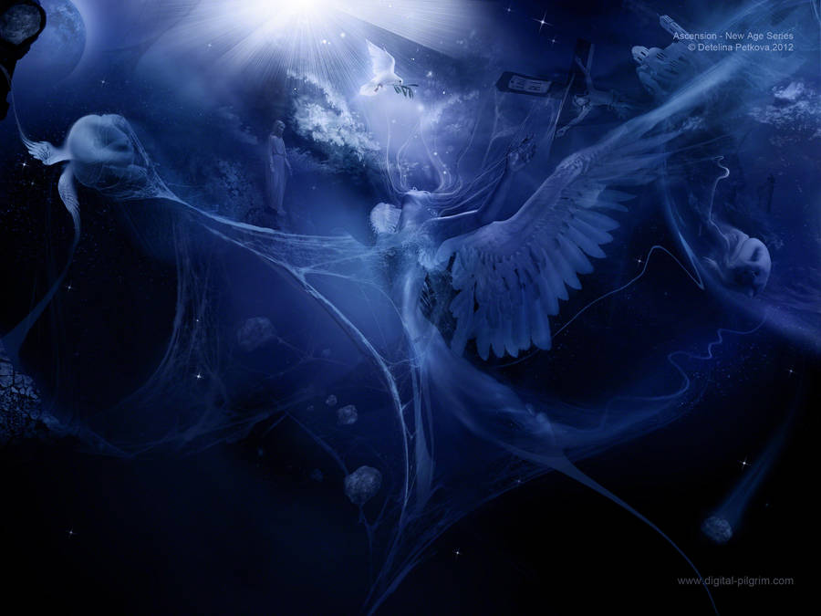 Ascension by Detelina