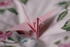 Safe by thedaydreaminggirl