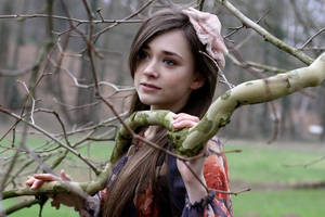 Spring in winter by thedaydreaminggirl