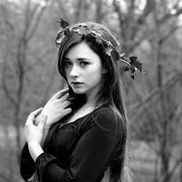 Fairy crown by thedaydreaminggirl