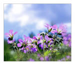 Summertime II by closer-to-heaven