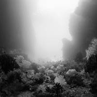 the passage by Hengki24