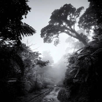 mist 110 by Hengki24