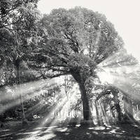 Lightyears by Hengki24