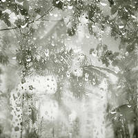 Gentle Rains by Hengki24