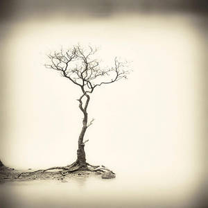 Sparse by Hengki24 Sparse by Hengki24