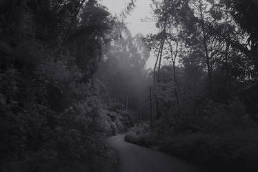 Toraja Highland by Hengki24